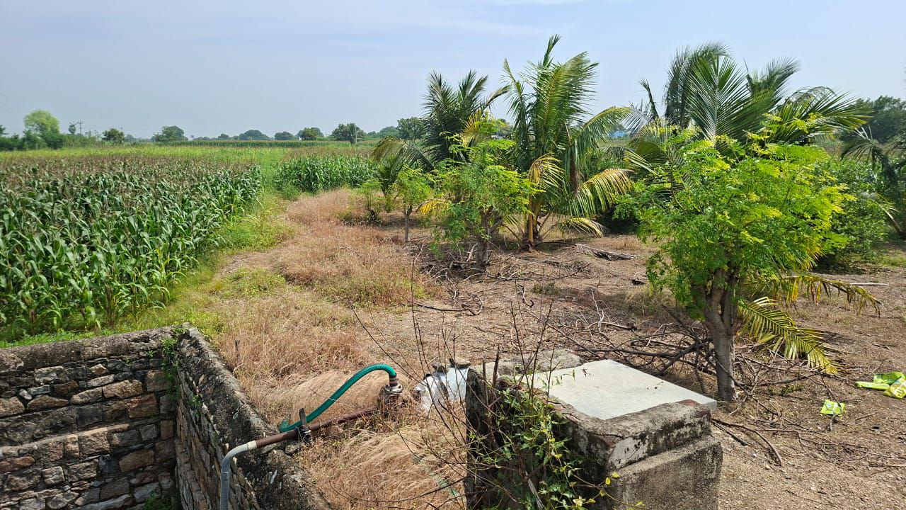 Agricultural Land for Sale – 3 Acres near Kovilpatti